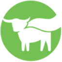 Beyond Meat Beyond Meat