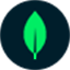 MongoDB MongoDB